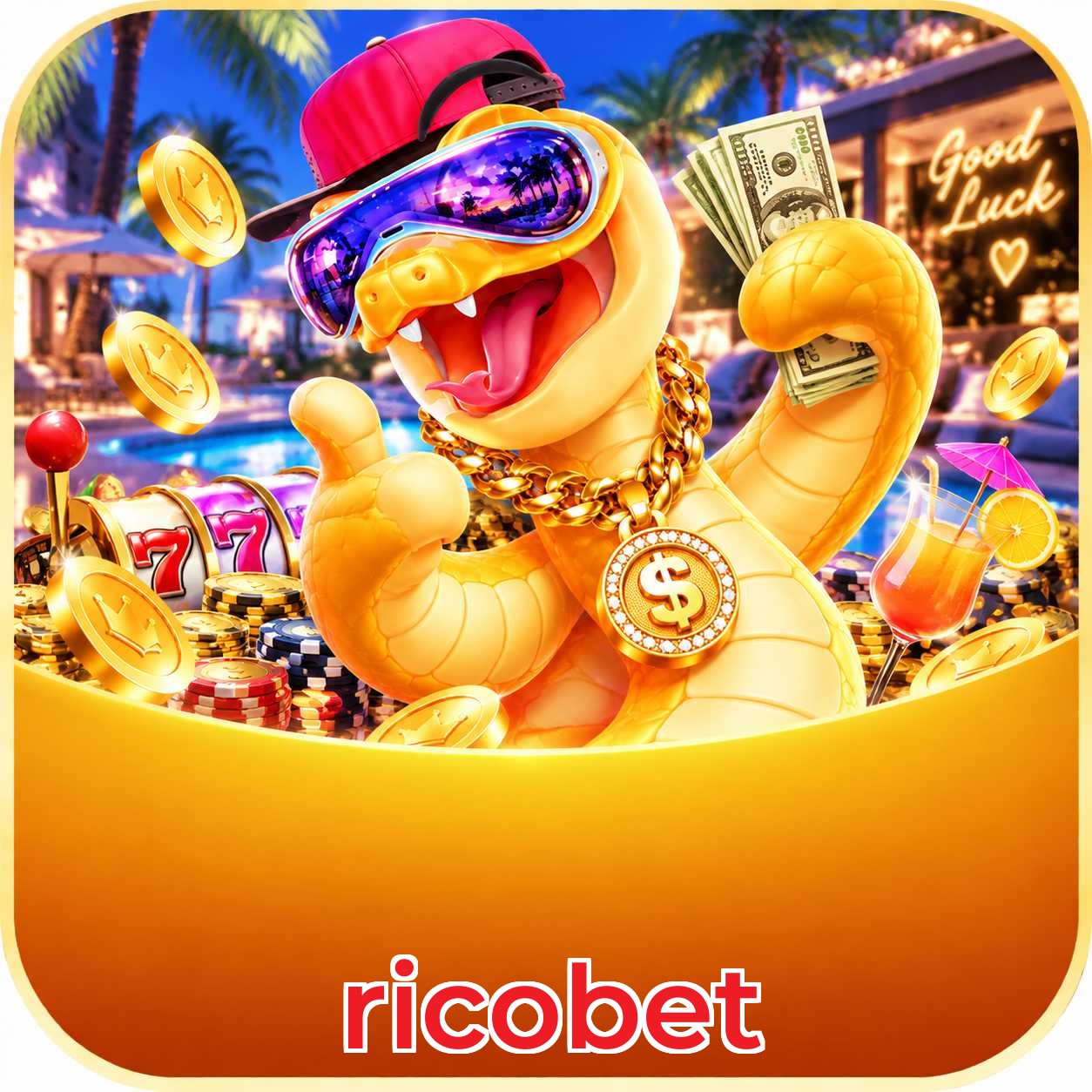 Programa VIP ricobet — 5 níveis de progressão automática